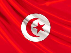Tunisia Flag (Twitter)