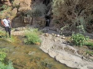 Amateurs hikers, who toured the valley on Friday discovered and documented the scene in pictures and video.