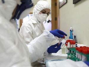 حصيلة الإصابات الإجمالية بالأراضي الفلسطينية ارتفعت إلى 1375 حالة