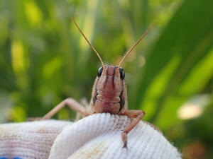 (Shutterstock/ File Photo)