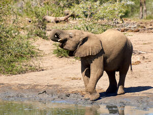 (Shutterstock/ File Photo)