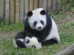 (Shutterstock/ File Photo)