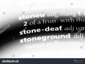 (Shutterstock)