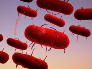 أودى بحياة 584 شخصاً بين عامي 2010 و2015