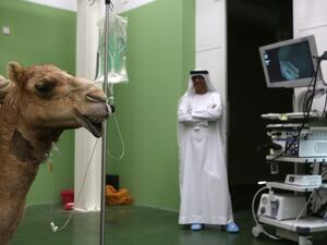 The governor said the project worth SR100 million is a national achievement. (AFP/File Photo)