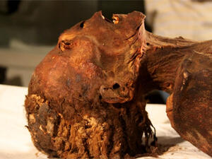 ‘the mummy of the screaming woman' (Twitter)