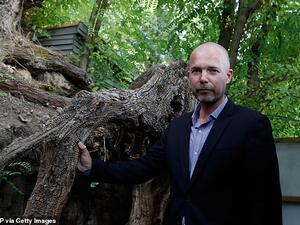 Mr van der Veen said most of the tangle of roots (pictured) is still there, a stone's throw from the inn. (AFP)