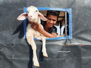 Palestinians in the Gaza Strip are preparing to welcome the blessed Eid Al-Adha (Twitter)