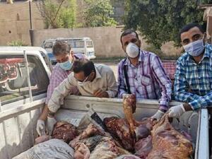 ضبط نصف طن من لحوم الحمير بمنزل جزار في قرية الحواويش