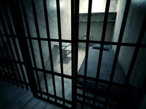 The upgraded cells have more space and access to better food. (Shutterstock/ File Photo) 