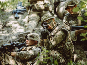 About 733 vehicles will be removed from service. (Shutterstock/ File Photo)