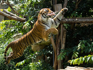 (Shutterstock/ File Photo)