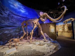 (Shutterstock/ File Photo)