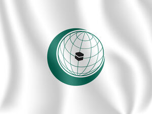 Flag of the Organization of Islamic Cooperation. (Shutterstock/ File Photo)