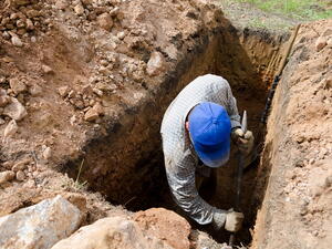 (Shutterstock/ File Photo)