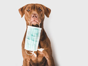 (Shutterstock/ File Photo)