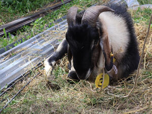 (Shutterstock/ File Photo)