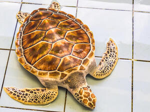 (Shutterstock/ File Photo)