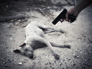 (Shutterstock/ File Photo)