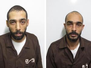 أحمد ومحمود مقداد