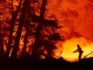 A firefighter douses flames as they push towards homes during the Creek fire in the Cascadel Woods area of unincorporated Madera County, California on September 7, 2020. (AFP/ File Photo)