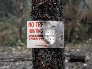 Multiple wildfires grew by hundreds of thousands of acres this week forcing evacuations and road closures. Nathan Howard/Getty Images/AFP