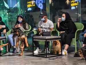 The Barking Lot 