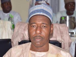 Governor Babagana Zulum  (Twitter)