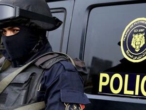 لدى رجل الأعمال صلاح دياب عدد من الشركات التي تمت ملاحقتها 