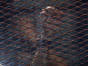 جرانة وزير السياحة المصري في الفترة من يناير 2006 – يناير 2011