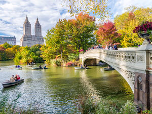 (Shutterstock/ File Photo)