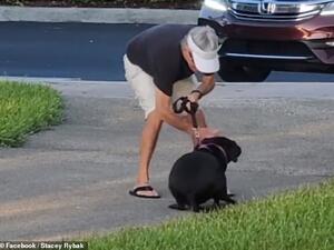 With his fist clenched, the man hit Adi, a Labrador - Pitbull mix, as she huddled on the ground. (Video screenshot/ Facebook)