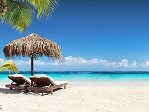 Explore flydubai’s Growing Network