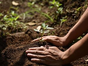 Mastercard Priceless Planet Coalition Welcomes Expo 2020 Dubai, Emirates NBD, Network International as Strategic Partners To Fight Climate Change