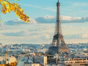 العاصمة باريس