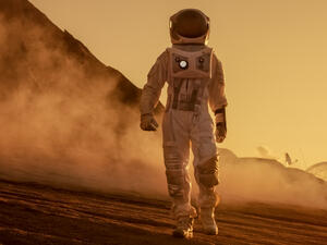 (Shutterstock/ File Photo)