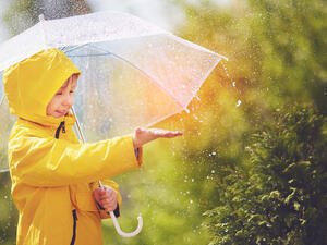 (Shutterstock/ File Photo)