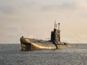 (Shutterstock/ File Photo)