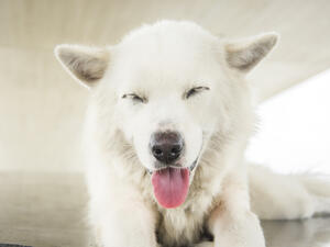 (Shutterstock/ File Photo)