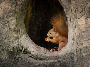 (Shutterstock/ File Photo)