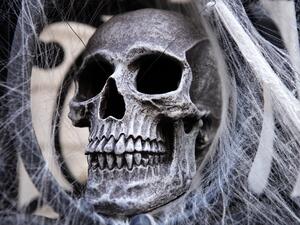 A skull and spider webs are part of a Halloween display in front of an Upper East Side home on October 30, 2020 in New York City. Many Halloween events have been canceled or adjusted with additional safety measures due to the ongoing coronavirus (COVID-19) pandemic. Cindy Ord/Getty Images/AFP