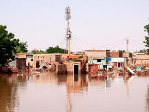 A general view shows flood water in Wad Ramli village on the eastern banks of the Nile river. AFP