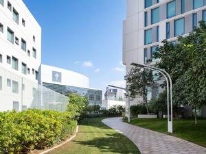 The Center will be a nexus for conversations and partnerships open to scholars and to art practitioners from across the region and from around the world. 