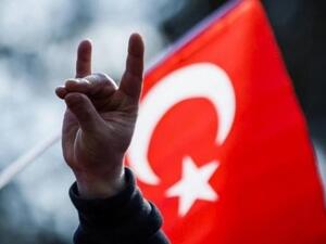 تنظيم "الذئاب الرمادية" اليميني المتطرف التركي