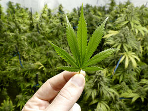 (Shutterstock/ File Photo)