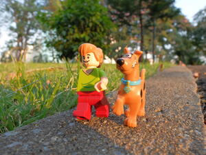 (Shutterstock/ File Photo)