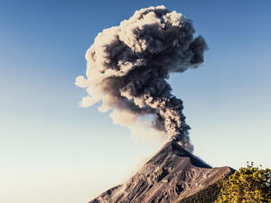 (Shutterstock/ File Photo)