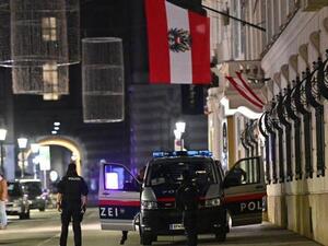 العاصمة النمساوية فيينا