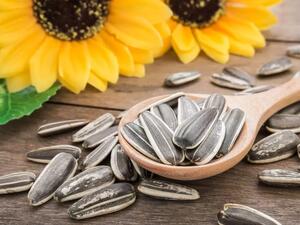 تساعد البذور على استرخاء الأعصاب، من خلال منع تراكم الكالسيوم داخل الأعصاب