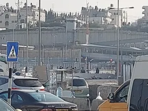 من صفحة الاعلامية لانا كاملة